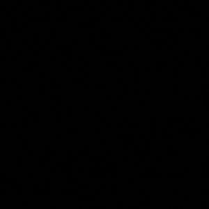 Meet your Posher, Demi